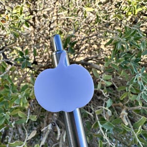 May include: A silver pen with a light purple silicone pumpkin-shaped topper.
