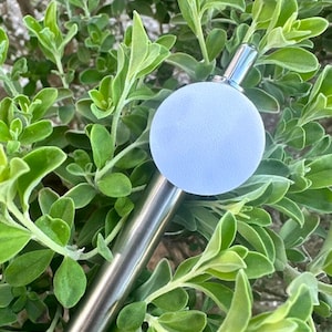 May include: A silver metal rod with a light blue round ball on the end. The rod is partially obscured by green foliage.