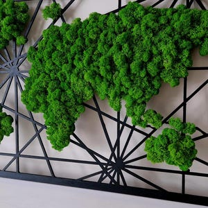 Weltkarte mit Moos Hausdekoration Botanisches Moos Wand Kunst Dekor 45 x 90 cm