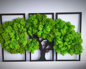 Premium natürliche Moos Wandkunst | Biophile Heimdekoration | Umweltfreundliche lebendige Kunst | Bilderrahmen Moos | Triptychon 3 Teilig | Schönes Geschenk