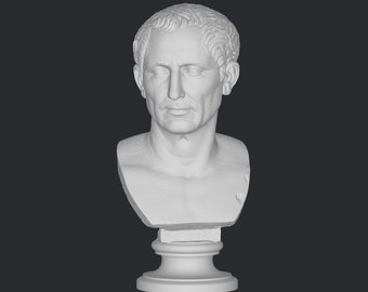 Farnese Caesar Stl file 3d Printing, 3d Figure Stl, 3d Stl, Super hero Figure, Game, Cartoon Comic Action Figure, Gift