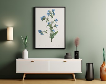 Impresión botánica azul, decoración de pared, Giclee, arte botánico Redoute, estampado de flores Commelina tuberosa, botánico vintage, Pierre-Joseph Redouté