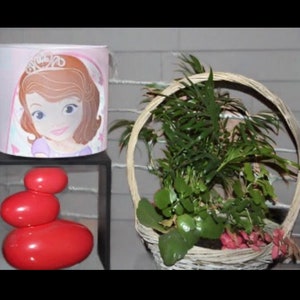 May include: A pink lampshade with a cartoon princess image, a wicker basket with green plants, and three red stacked stones on a black shelf.
