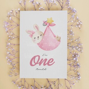 Baby Mädchen druckbare digitale Monatskarten. Baby-Willkommenskarten. Gedruckte digitale Karten für Baby Mädchen. Hohe Qualität. Karten Set zum Ausdrucken.