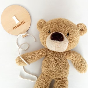 Carte d'étape mensuelle en bois pour montgolfière | Jeu de cartes de visite personnalisées | Panneau marqueurs d'étape | Cadeau pour bébé, accessoire photo, décoration