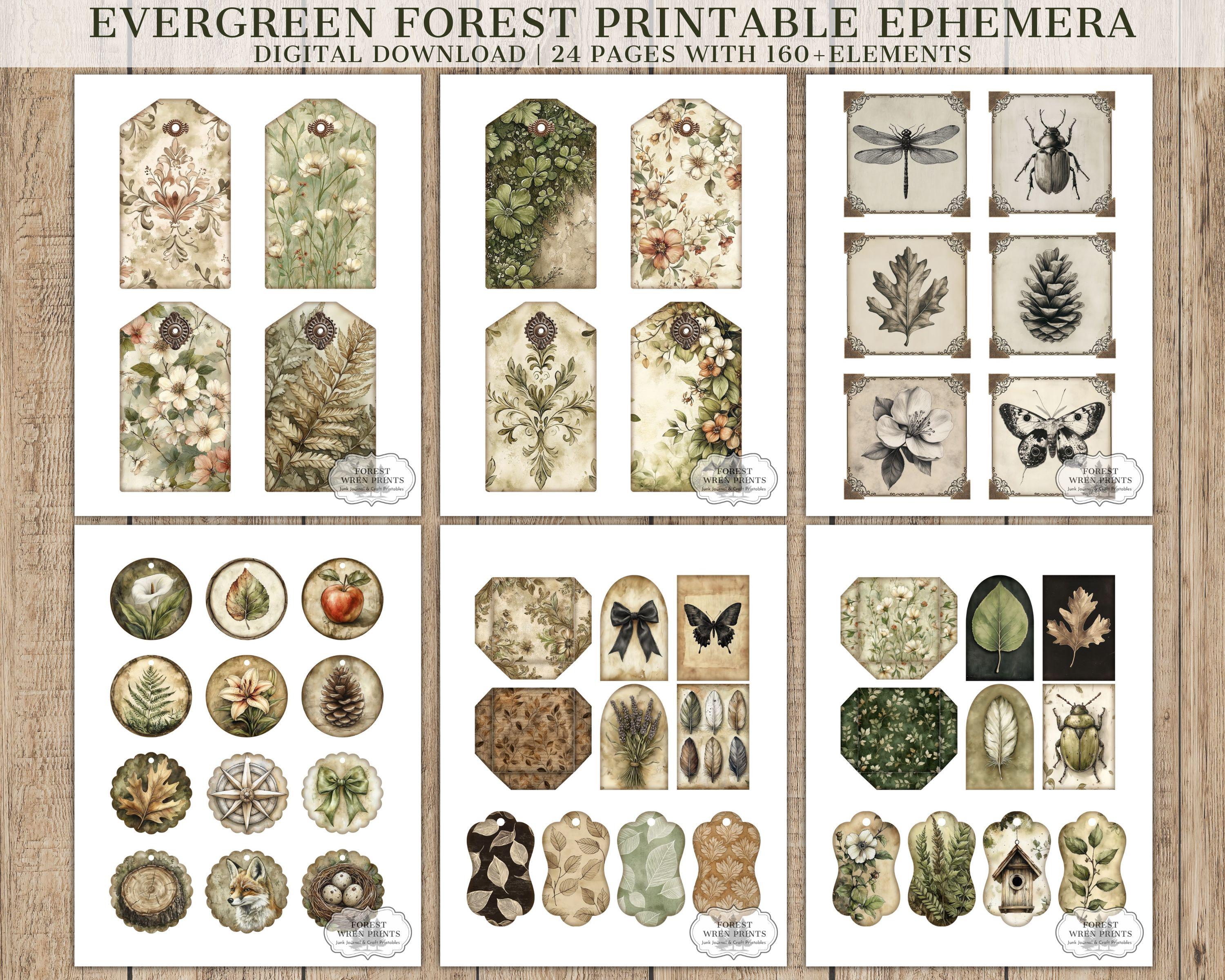 Evergreen Forest Junk Journal Ephemera Printables, Watercolor Woodland ...