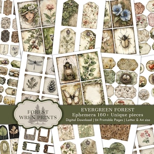 Evergreen Forest Junk Journal Ephemera Printables, Watercolor Woodland Botanical Digital Download Fussy Cuts, Vintage Green Nature Scrapbook