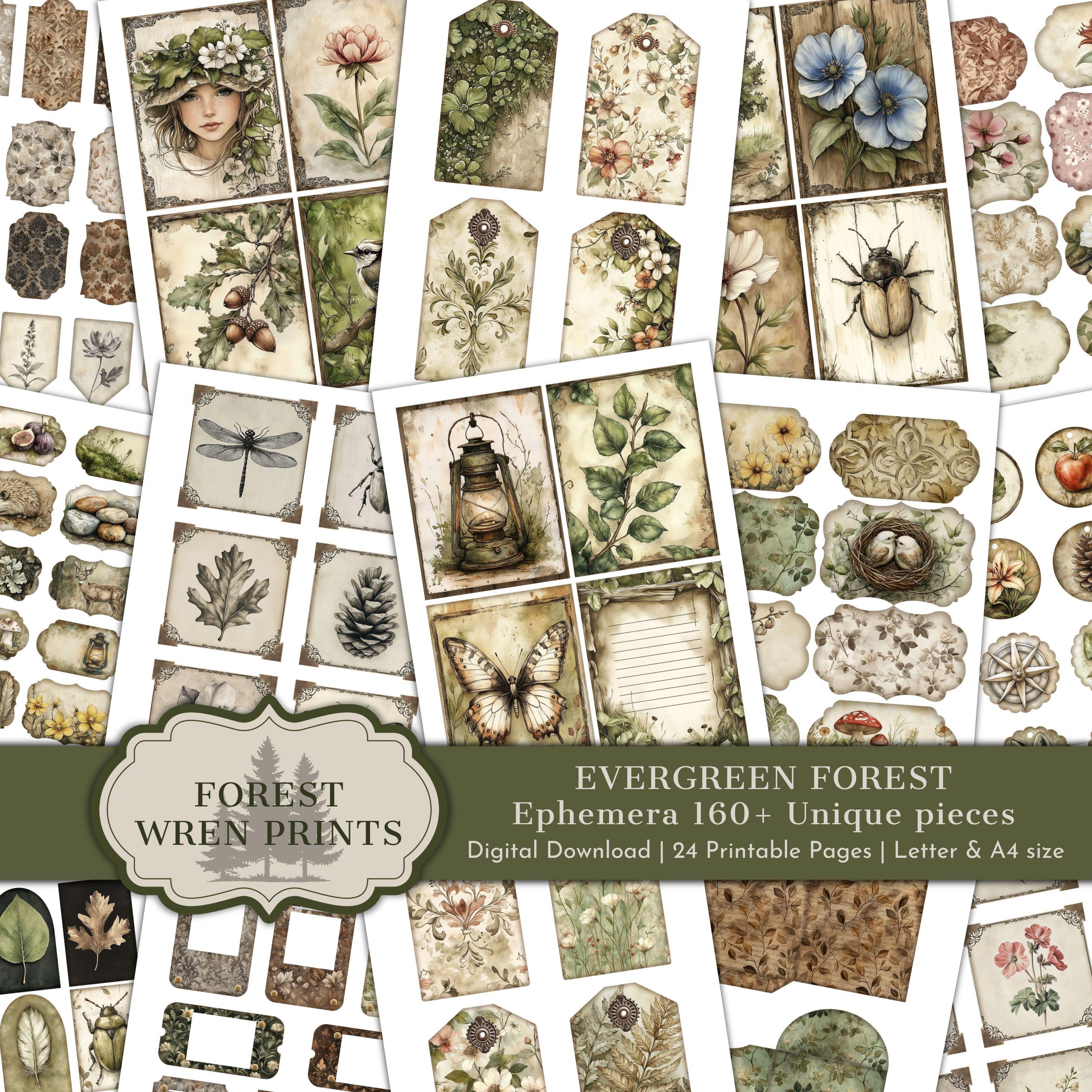 Evergreen Forest Junk Journal Ephemera Printables, Watercolor Woodland ...