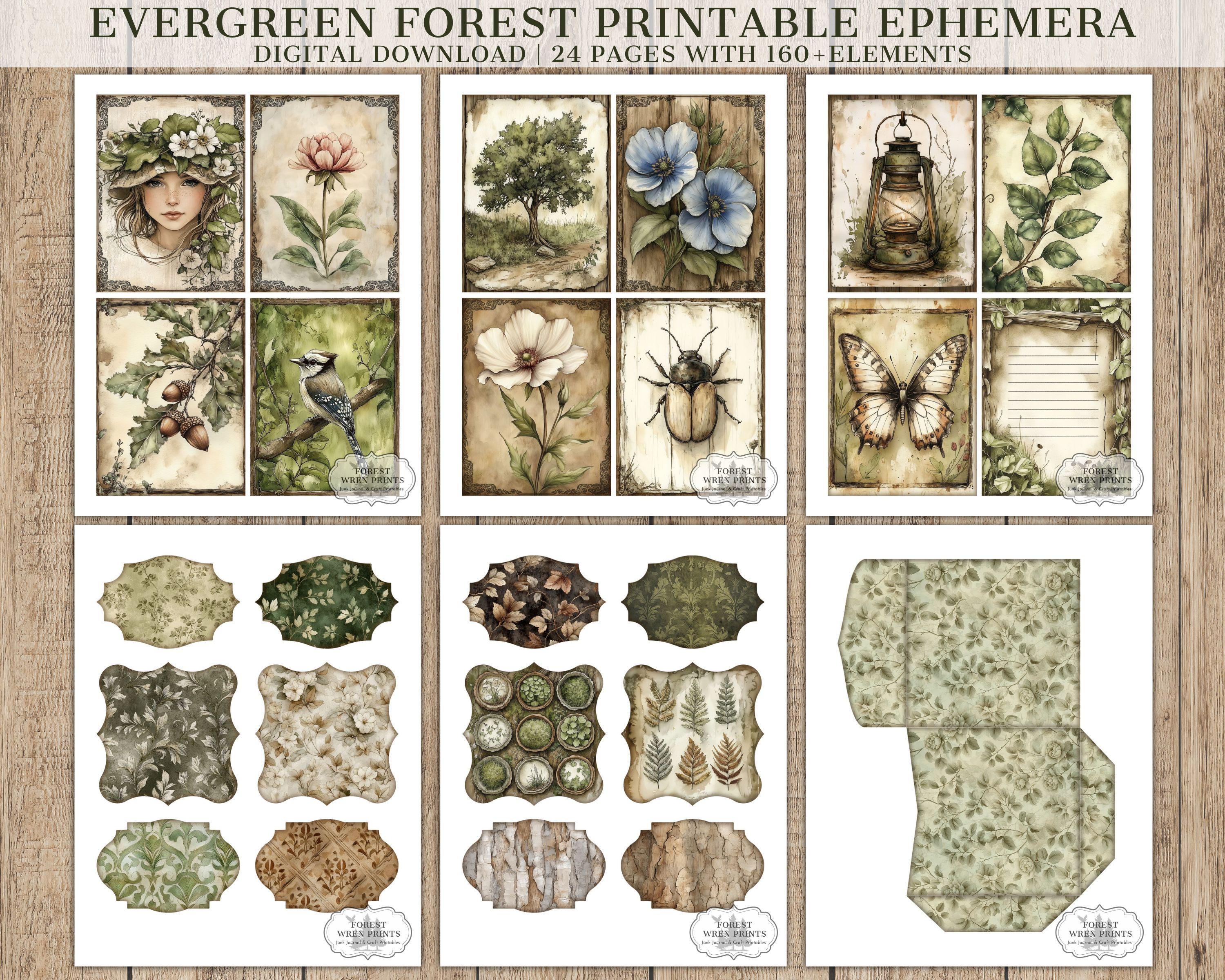 Evergreen Forest Junk Journal Ephemera Printables, Watercolor Woodland ...