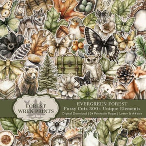 May include: A collection of nature-themed stickers, including a wolf, bear, owl, fox, butterflies, and leaves in brown, green, and cream tones. The image includes text that reads "FOREST WREN PRINTS" and "EVERGREEN FOREST Fussy Cuts 300+ Unique Elements".