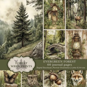 May include: A digital download of watercolour forest illustrations. The images include a cabin, deer, bridge, lantern, butterfly, acorns, and a fox. The text reads "FOREST WREN PRINTS" and "EVERGREEN FOREST 60 journal pages".