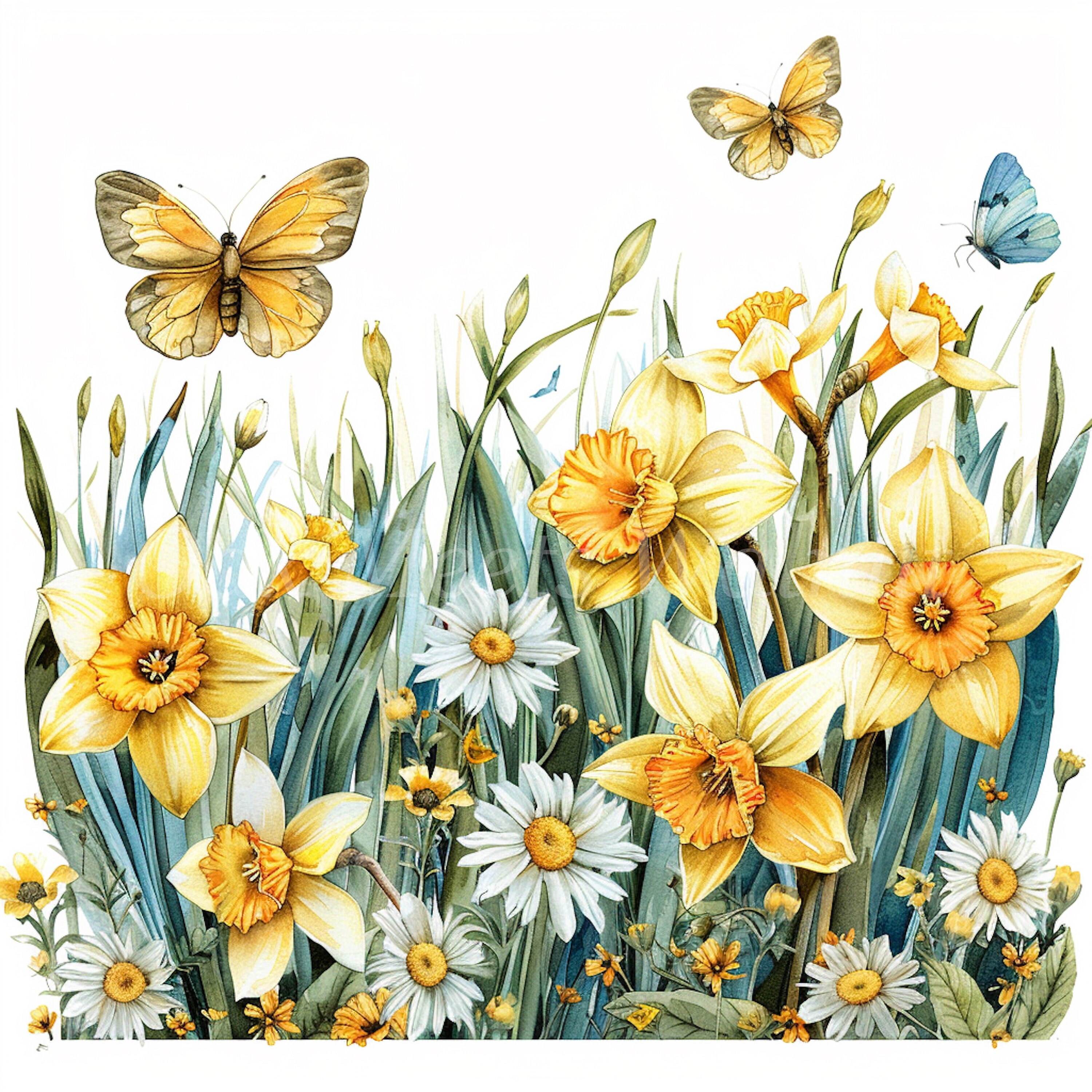 Watercolor Daffodils and Butterflies Clipart: Springtime Celebration ...