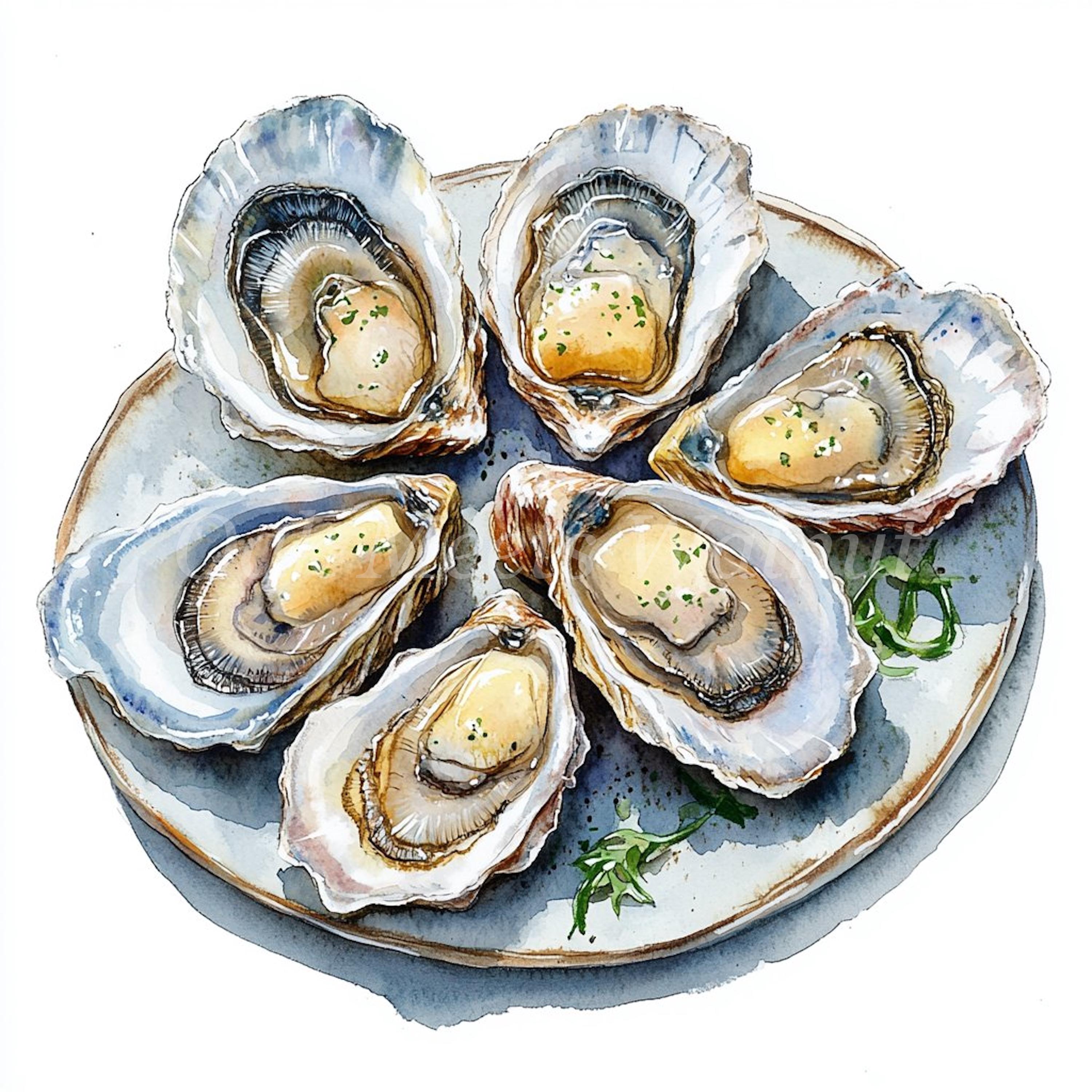 Watercolor Oysters Clipart Bundle: Printable Seafood Images (digital ...