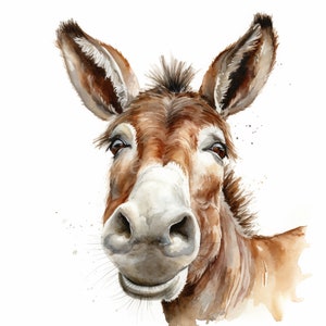 Funny Donkey Clipart Bundle- 10 High Quality Watercolor JPGs, Animal Clip Art, Printable Images, Digital download, Paper craft, Junk journal