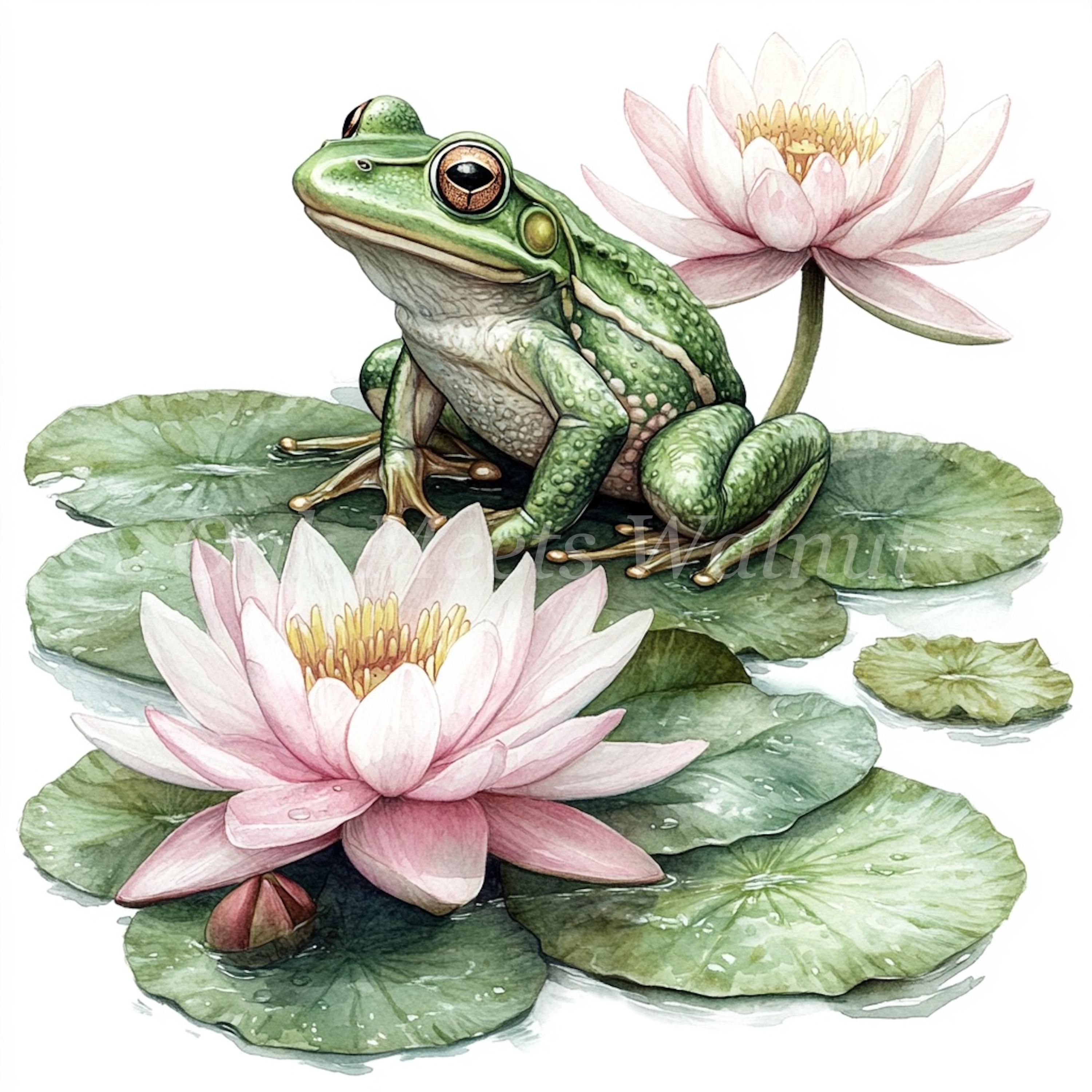 Frog on Lily Pad Clipart Bundle-10 High Quality Watercolor Jpgs ...