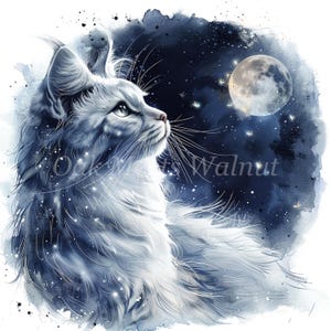 Cat Moon and Fireflies Clipart Bundle- 10 High Quality Watercolor Jpgs ...