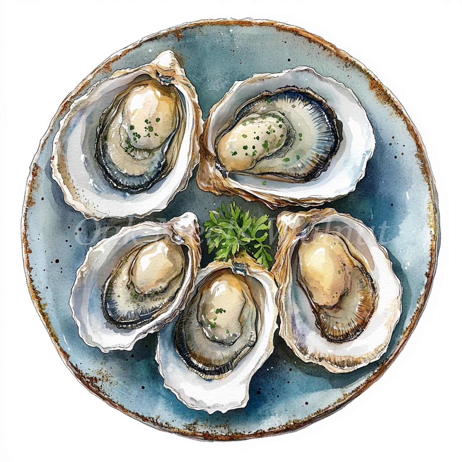 Watercolor Oysters Clipart Bundle: Printable Seafood Images (digital ...