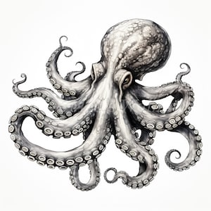 May include: A detailed black and white illustration of an octopus with eight tentacles. The octopus has a textured, speckled body and large, round eyes.