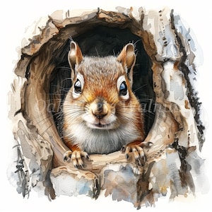 Eichhörnchen in Baumhöhle Clipart Bundle 10 hochauflösende Aquarell JPGs für Junk Journaling, Scrapbook Papier Handwerk Digitaler Download, Kartenherstellung