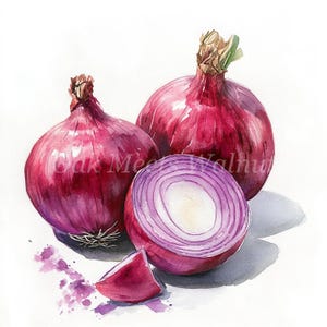 Red Onion Watercolor Clipart Bundle: Printable Kitchen Art (Digital Download)