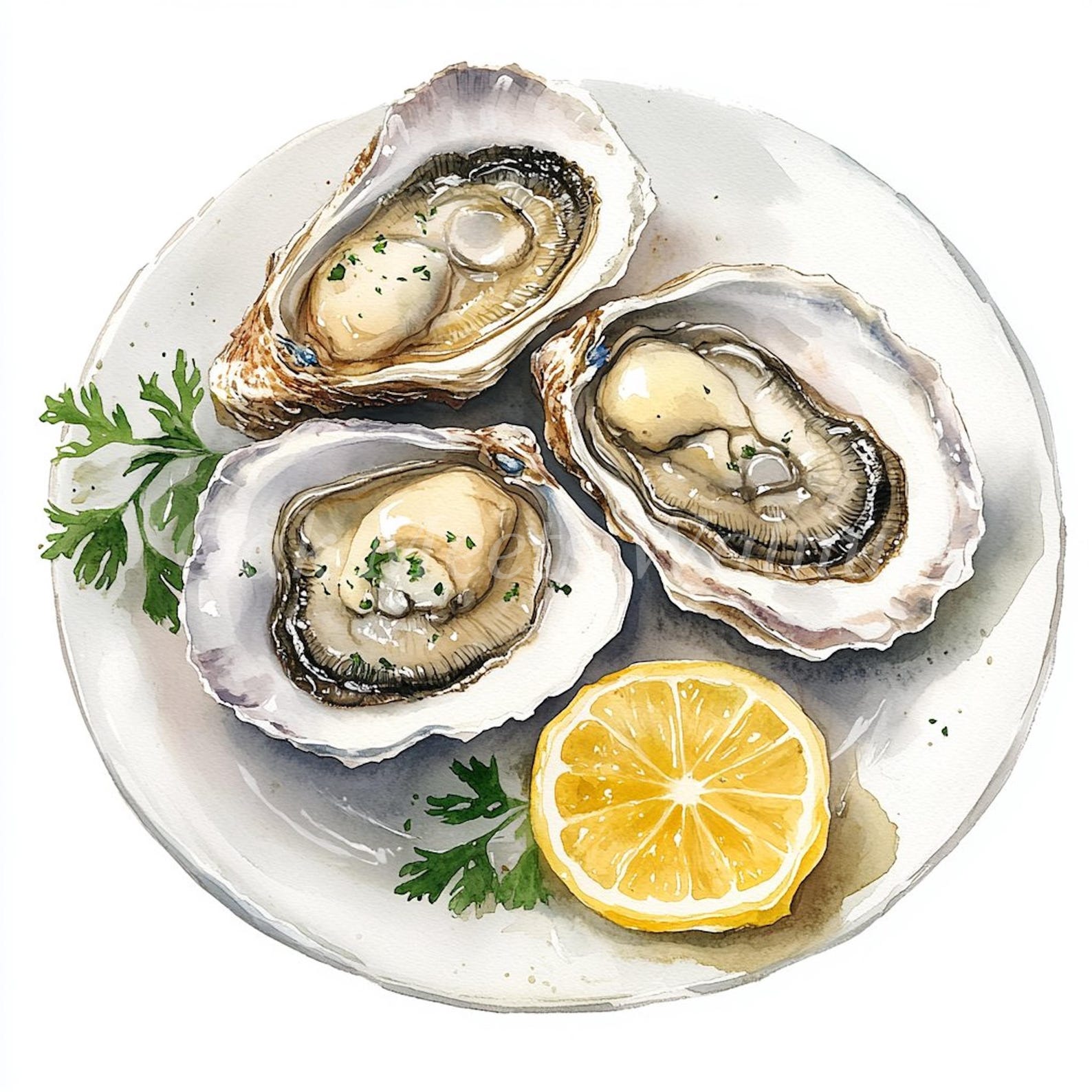 Watercolor Oysters Clipart Bundle: Printable Seafood Images (digital ...