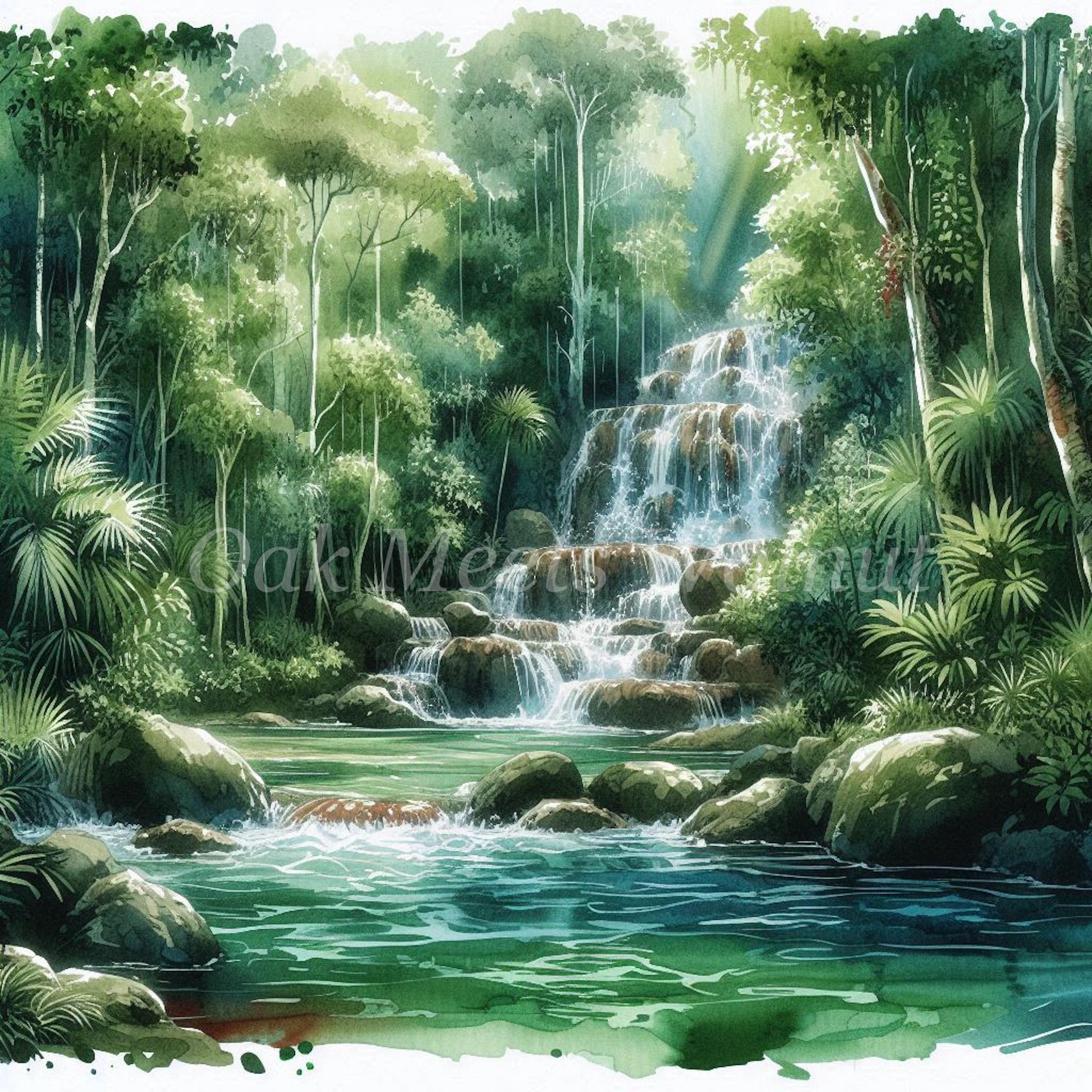 Rainforest Clipart Bundle – Tropical Jungle Illustrations (digital ...