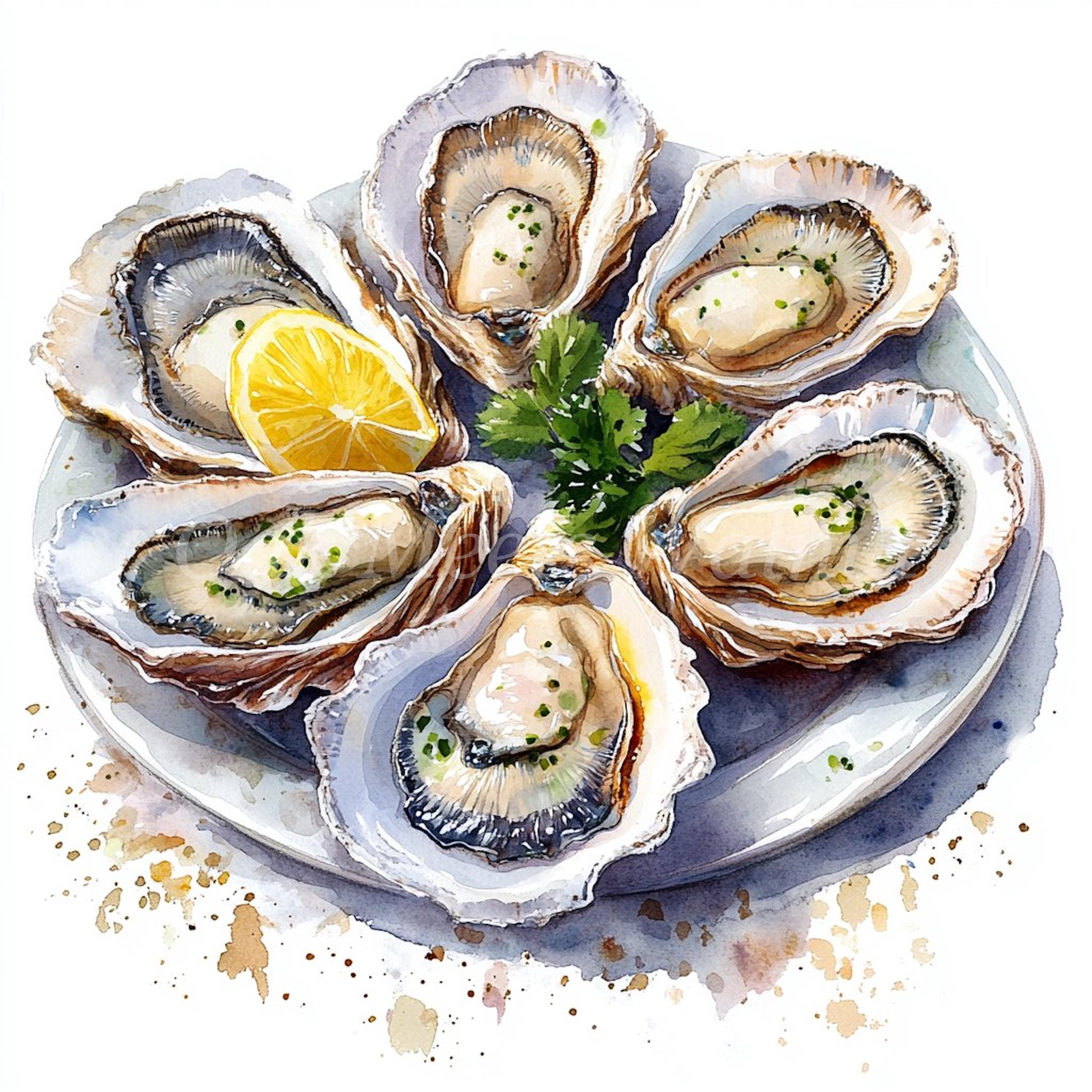 Watercolor Oysters Clipart Bundle: Printable Seafood Images (digital ...