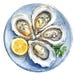 Watercolor Oysters Clipart Bundle: Printable Seafood Images (digital ...