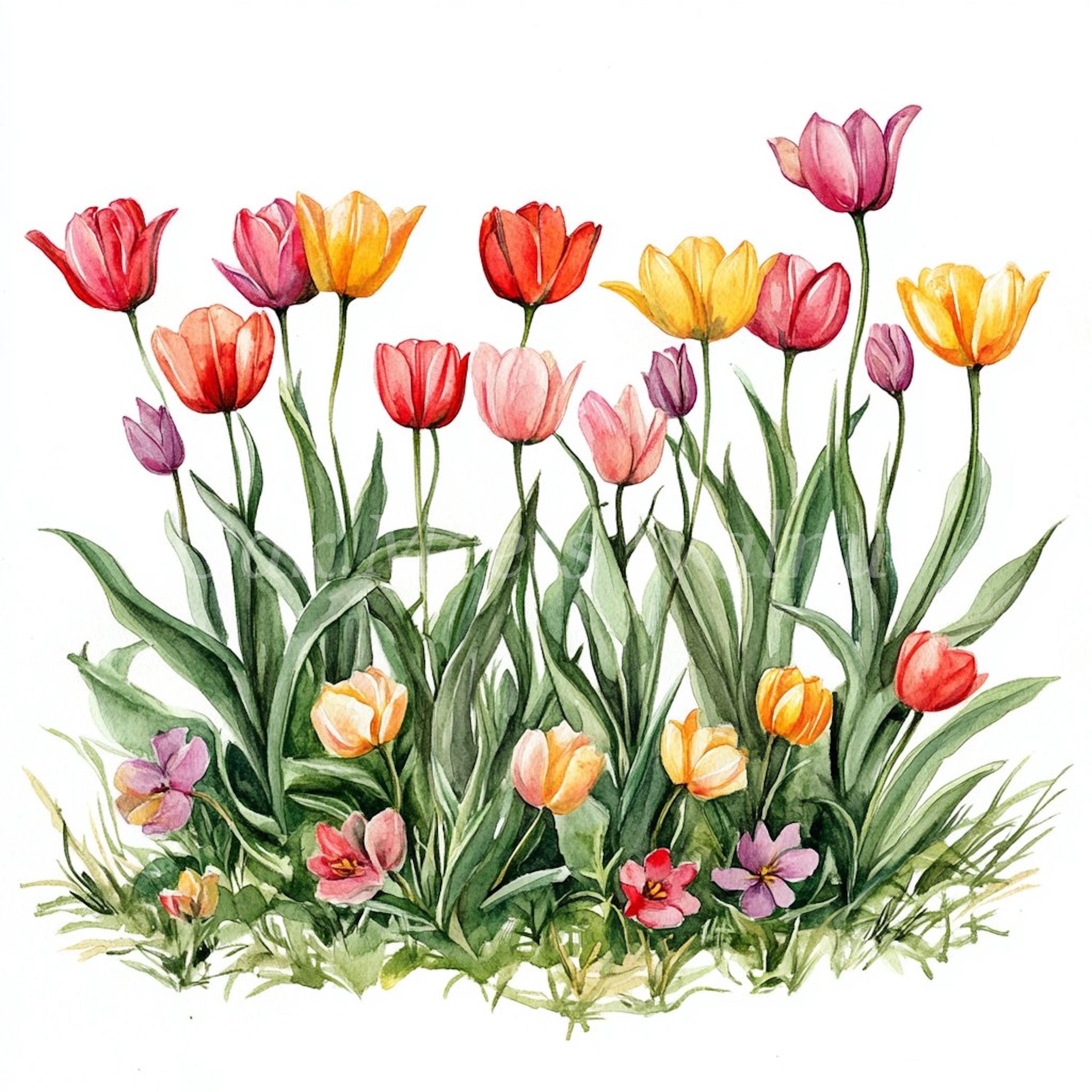 Watercolor Spring Flower Clipart Bundle: Floral Jpgs (digital Download ...