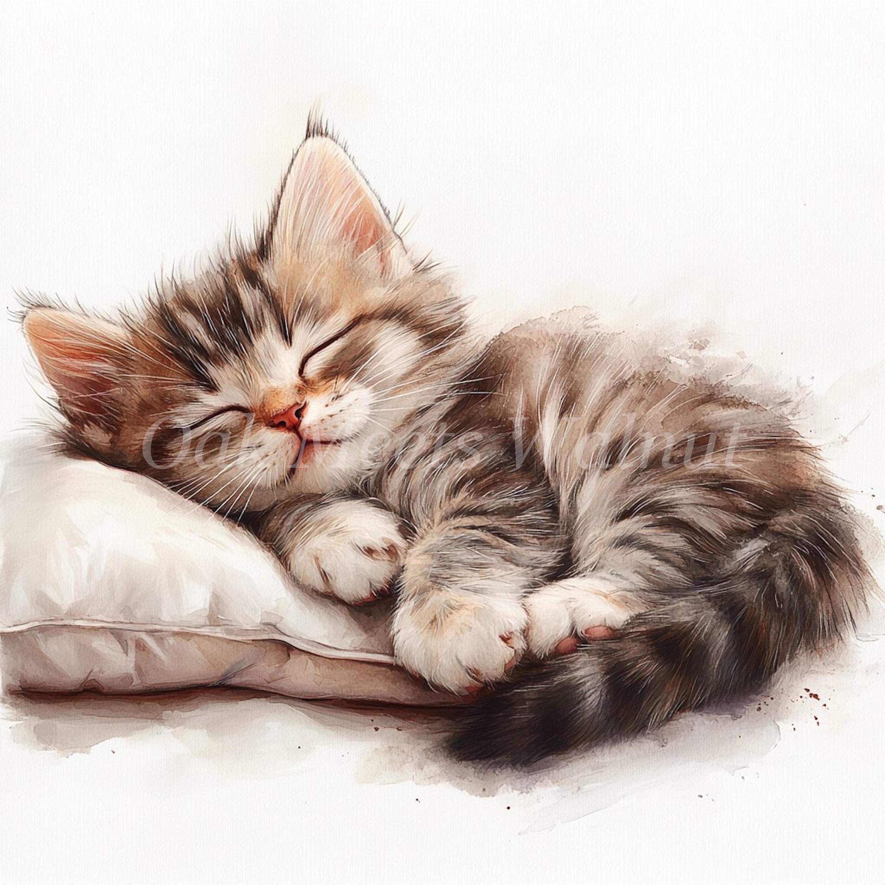 眠る子猫の水彩画クリップアート - 猫のイラスト集（デジタル