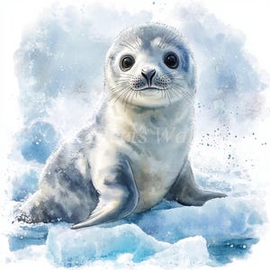 10 Cute Baby Seal Clipart Bundle- High Quality JPGs, Sublimation, Digital download, Craft, Junk journal Scrapbooking Mixed Media