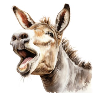 Funny Donkey Clipart Bundle- 10 High Quality Watercolor PNGs, Animal Clip Art, Printable Images, Digital download, Paper craft, Junk journal