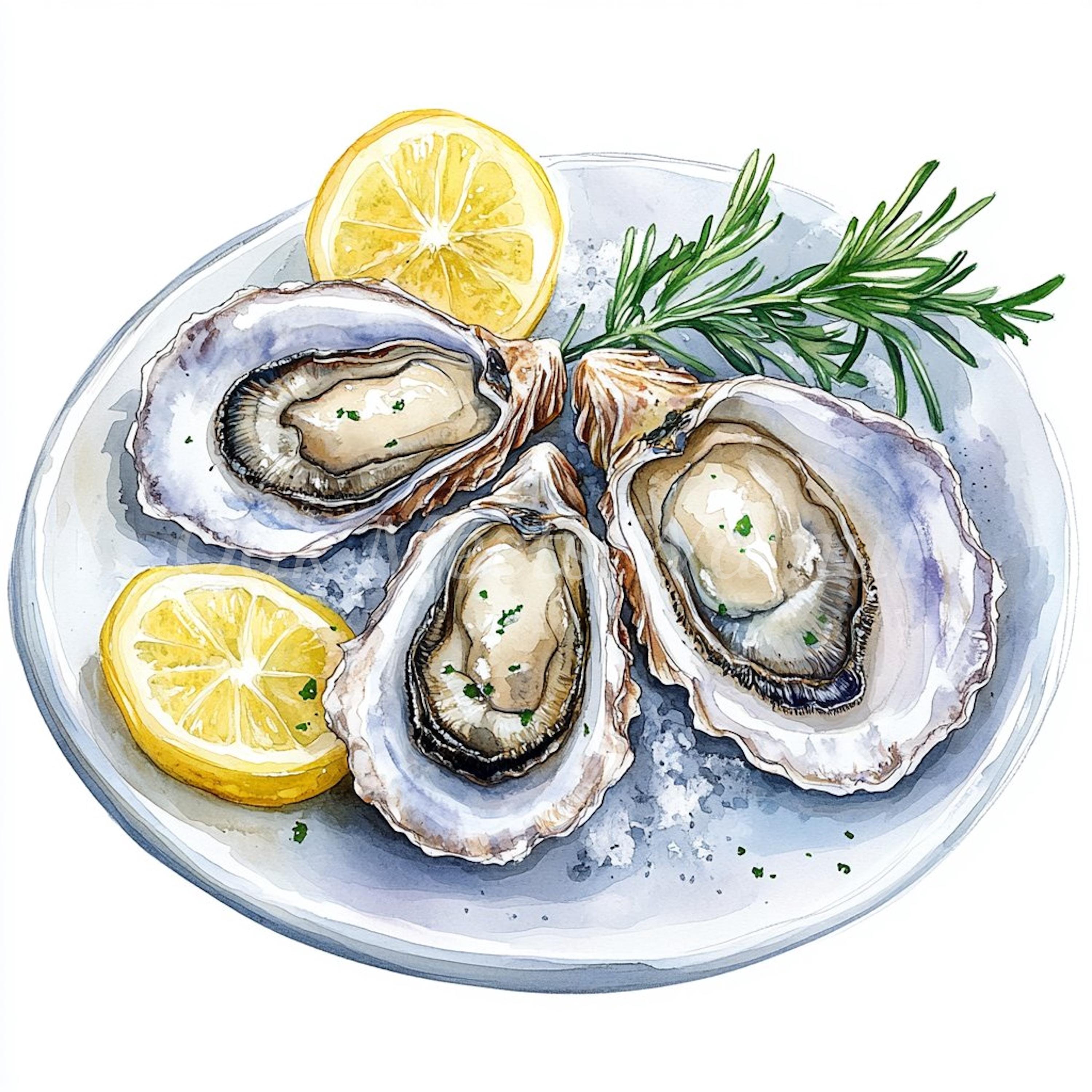 Watercolor Oysters Clipart Bundle: Printable Seafood Images (digital ...