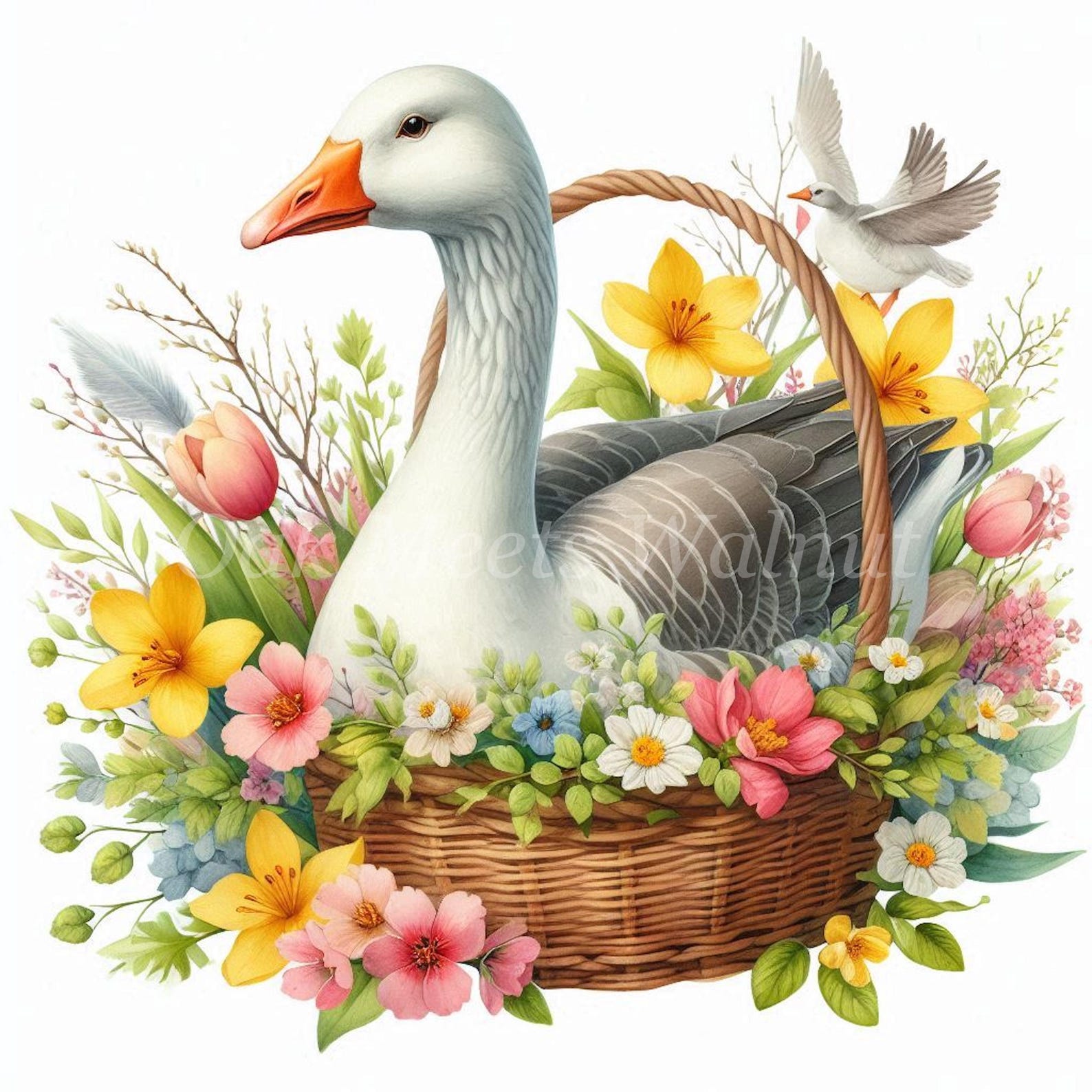 Springtime Goose Spring Goose Clipart Bundle: Floral Goose Illustrations (digital ...