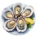 Watercolor Oysters Clipart Bundle: Printable Seafood Images (digital ...