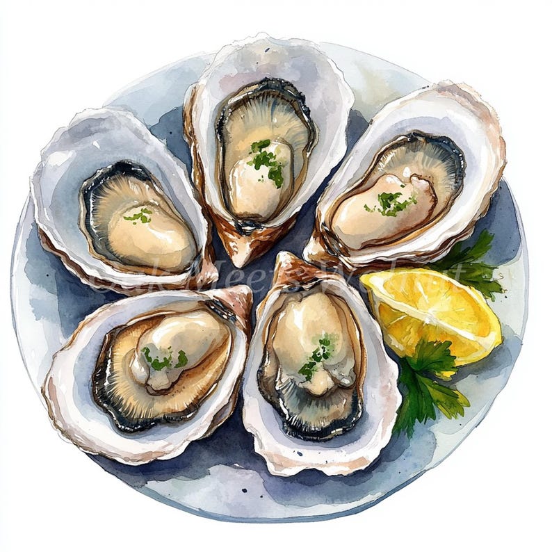 Watercolor Oysters Clipart Bundle: Printable Seafood Images (digital ...