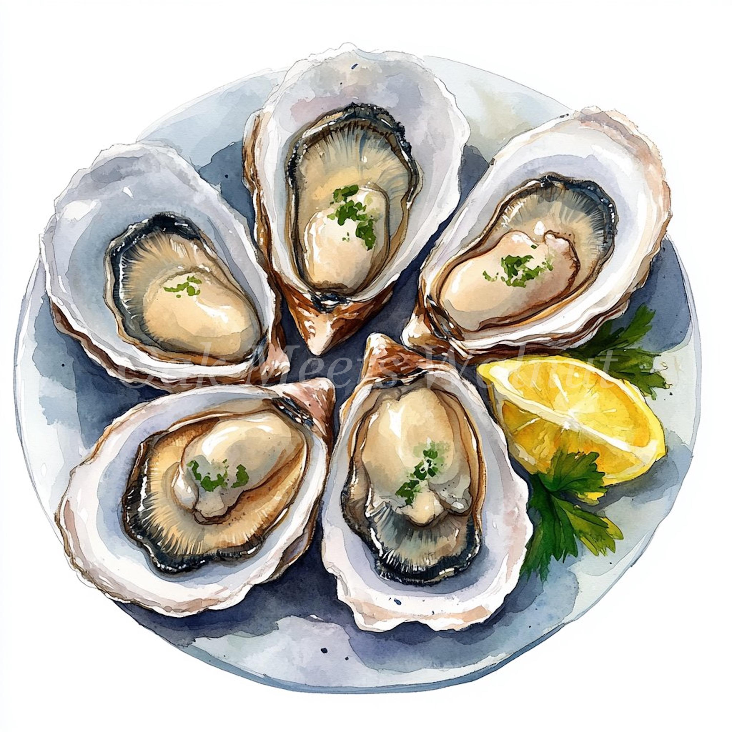 Watercolor Oysters Clipart Bundle: Printable Seafood Images (digital ...