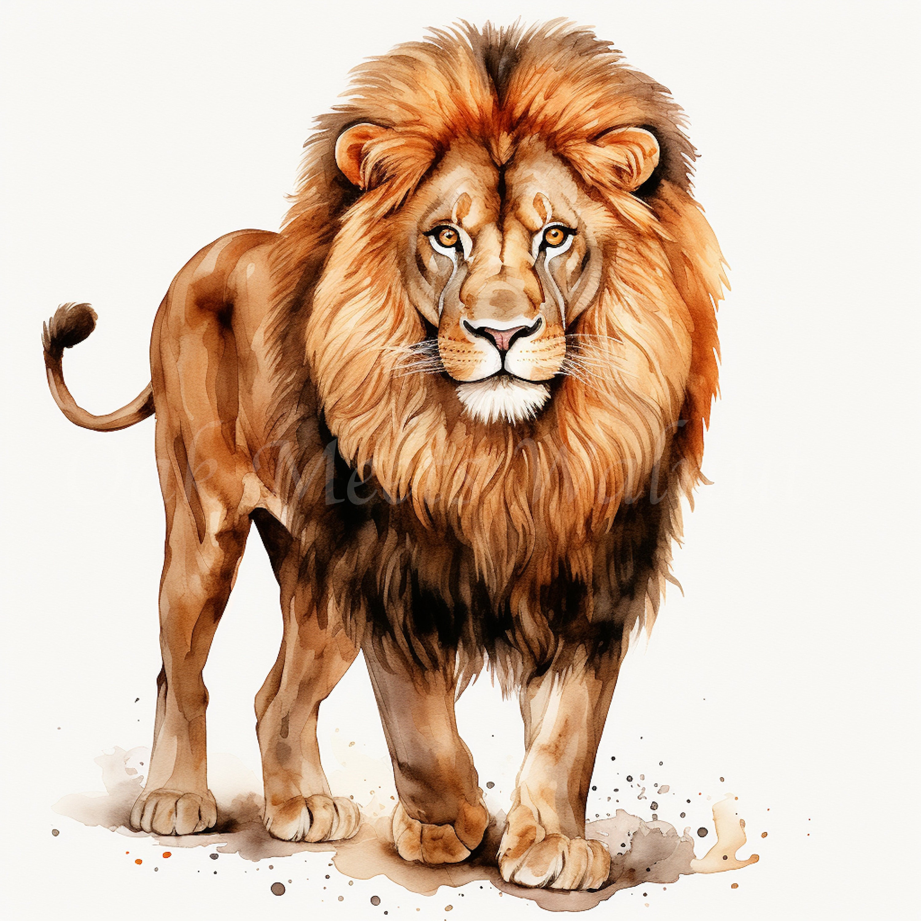 Lion Clipart Bundle- 10 High Quality Watercolor Jpgs, Animal Print ...