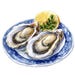 Watercolor Oysters Clipart Bundle: Printable Seafood Images (digital ...