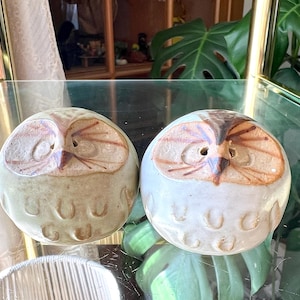 May include: Two ceramic owl figurines with brown and white painted details. The owls have closed eyes and a small hole in the center of their faces.