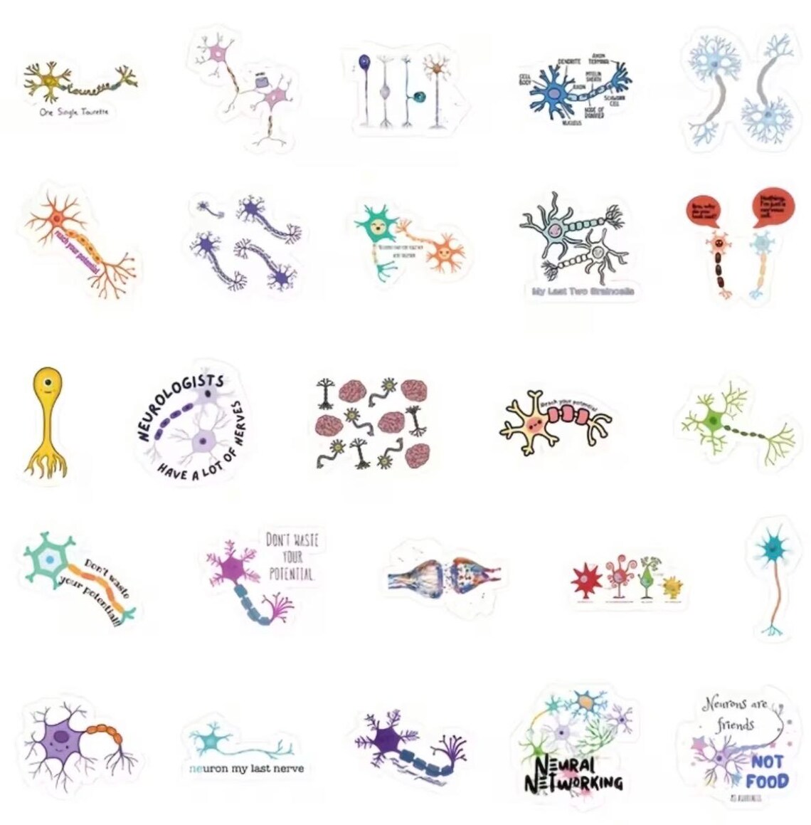 Neuro Anatomy Stickers: Medical Illustrations, Healthcare, Biology ...