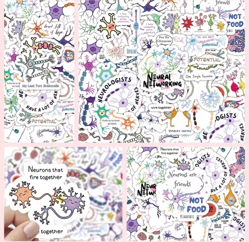 Neuro Anatomy Stickers: Medical Illustrations, Healthcare, Biology ...
