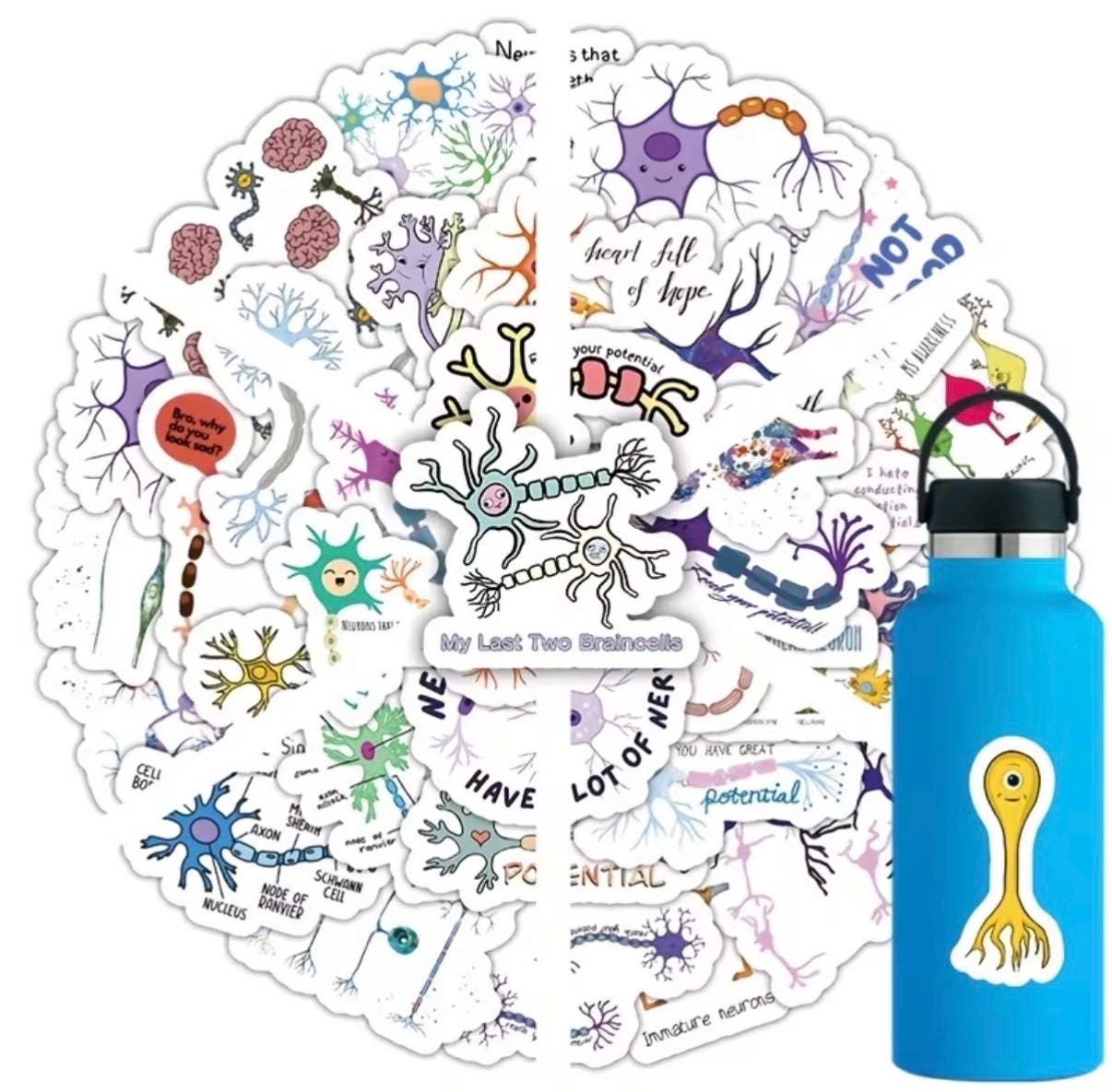 Neuro Anatomy Stickers: Medical Illustrations, Healthcare, Biology ...