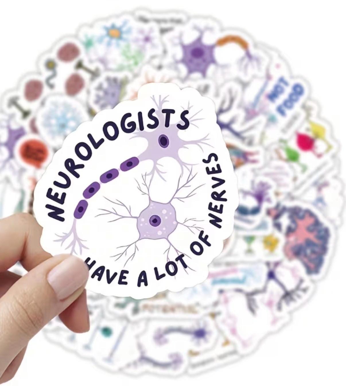 Neuro Anatomy Stickers: Medical Illustrations, Healthcare, Biology ...