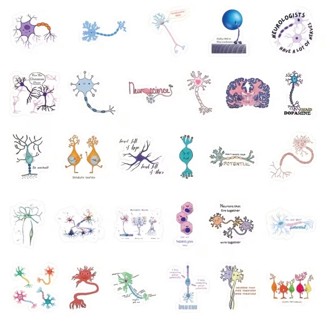 Neuro Anatomy Stickers: Medical Illustrations, Healthcare, Biology ...