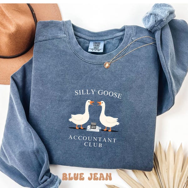 funny Accountant Sweatshirt, Retro accountant T SHIRT, Accountant Crewneck ,CPA Sweater, Accounting Professional Apparel, CPA gift coworker