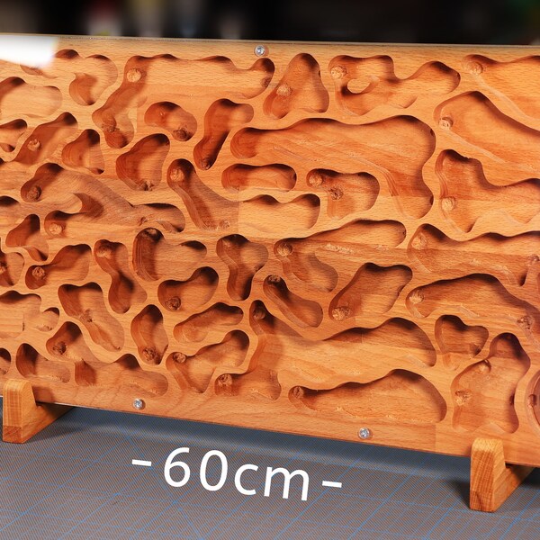Großes Ameisen Nest aus Massiv Holz in 60cm x 30cm