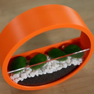 May include: An orange, oval-shaped terrarium with a clear divider. The terrarium contains green moss balls, white pebbles, and dark soil. The design is modern and minimalist, suitable for small plants or decorative purposes.