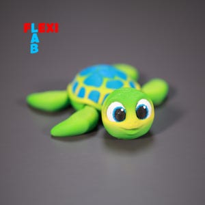 Op de afbeelding: Een 3D-geprinte schildpadfiguur met een groen lichaam, geel en blauw schild en grote, expressieve ogen. De tekst "FLEXI LAB" is zichtbaar in de linkerbovenhoek. De schildpad is een grillig, kleurrijk ontwerp.