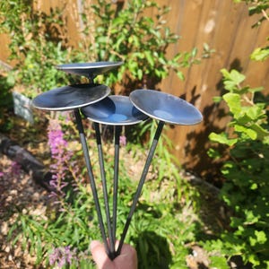 May include: A cluster of five metal garden art pieces. Each piece features a dark, circular dish atop a slender, black rod. The dishes have a slightly concave shape and a dark blue hue. The background includes greenery and a wooden fence.
